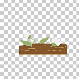 Leaf Brown Plant Rectangle PNG