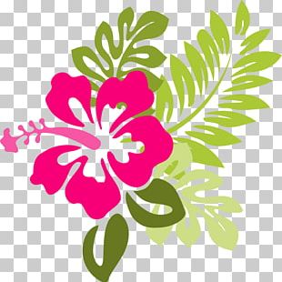 Hawaiian Cartoon PNG, Clipart, Animation, Area, Artwork, Branch ...