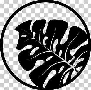 Jurassic Park: The Game Velociraptor Computer Icons PNG