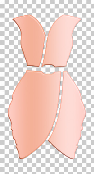 Sexy Dress PNG Images & PSDs for Download