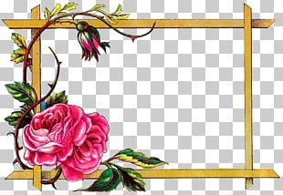 Frames Flower Rose PNG, Clipart, Artificial Flower, Computer Icons, Cut ...