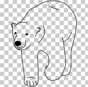 Polar Bear Drawing PNG, Clipart, Animals, Carnivoran, Christmas ...