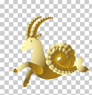 Sheep Aries PNG