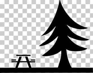 Picnic Table Picnic Table Barbecue PNG