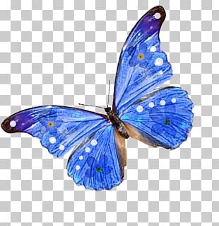 Butterfly Desktop Blue PNG, Clipart, Art, Blue, Blue Butterfly, Brush ...
