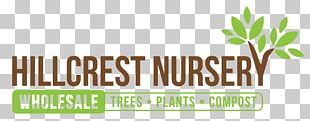 Hillcrest Nursery Tree Men Without Women PNG