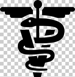 Cat Veterinarian Dog Veterinary Medicine PNG