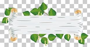 Birch Bark Kindergarten â„–2 Banya PNG