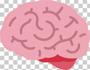 Human Brain - Pink Human Brain Illustration PNG