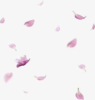 Fresh Flowers Corner PNG, Clipart, Corner, Corner Clipart, Flowers ...