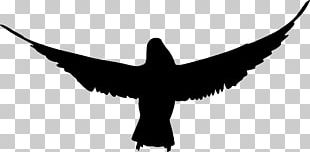 Bird Silhouette PNG, Clipart, Beak, Bird, Bird Flight, Black And White ...