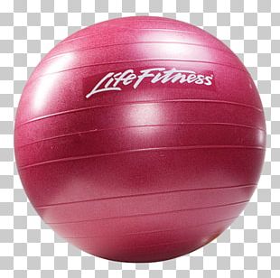 Exercise Ball PNG Images, Exercise Ball Clipart Free Download