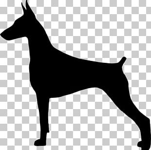 Dobermann Miniature Pinscher German Pinscher Great Pyrenees Greyhound PNG