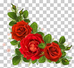 Roses Png Images, Roses Clipart Free Download