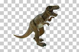 Triceratops Tyrannosaurus Stegosaurus Brachiosaurus Dinosaur PNG ...