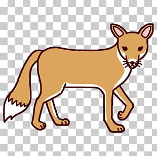 Red Fox Donburi Kitsune Soba Raccoon Dog PNG