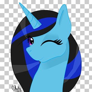 Whiskers Cat Horse PNG