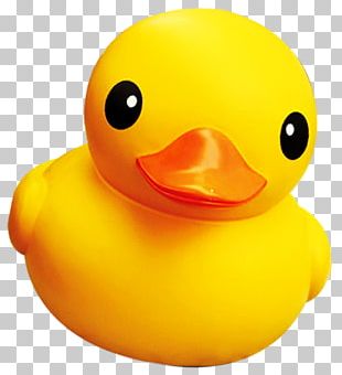 Rubber Duck PNG, Clipart, Rubber Duck Free PNG Download