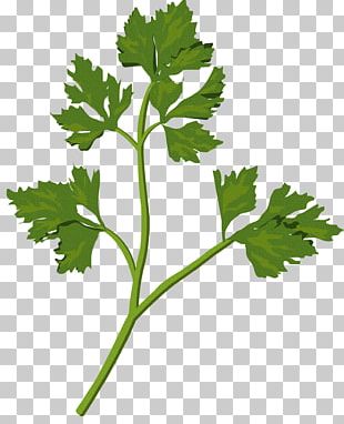 Weeds Png Images Weeds Clipart Free Download Including transparent png clip art. weeds png images weeds clipart free