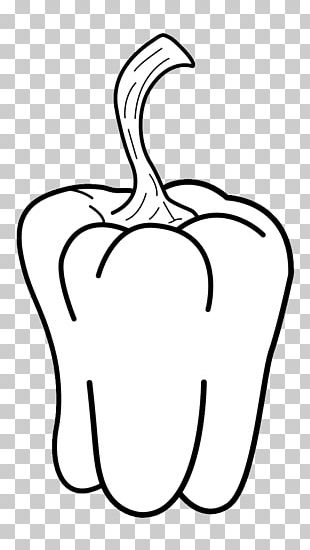 Nose White Line Art Plant PNG