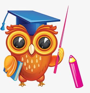 Cute Owl Png Images Cute Owl Clipart Free Download