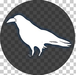 Common Raven Tattoo Bird Drawing PNG, Clipart, Beak, Bird, Bird Of Prey ...