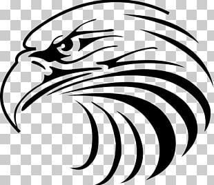 Bald Eagle Logo Cdr PNG, Clipart, Accipitriformes, Animals, Bald Eagle ...