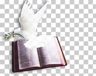 Chapters And Verses Of The Bible Psalms Doves As Symbols God PNG ...