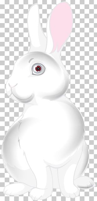 Domestic Rabbit Easter Bunny Hare White PNG