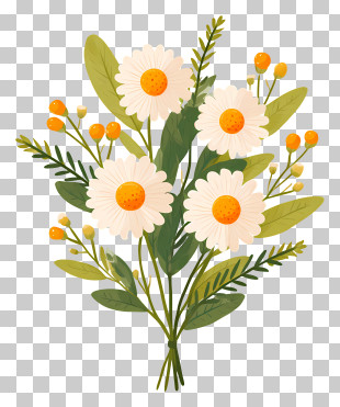 Daisy Bouquet Flat Illustration PNG