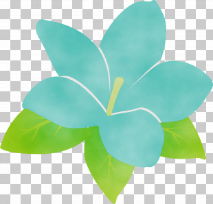Leaf Petal Turquoise M Green Flower PNG