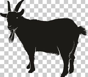 Boer Goat Silhouette PNG, Clipart, Animals, Black And White, Boer Goat ...