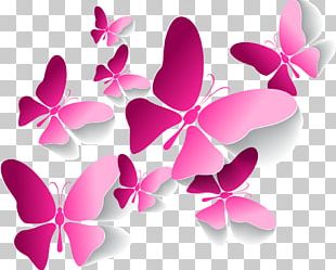 Butterfly Euclidean Pink PNG, Clipart, Animation, Blue Butterfly ...