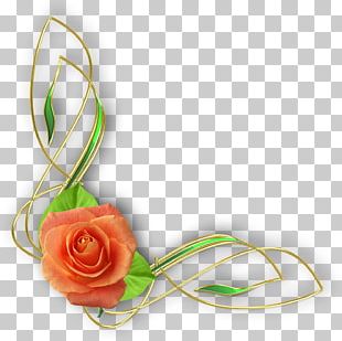 Rose Portable Network Graphics Flower PNG, Clipart, Blue Rose, China ...