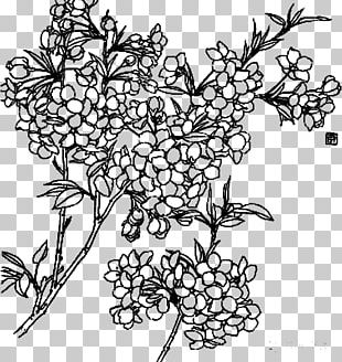 Line Drawing Flowers Png ~ Drawing