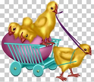 Easter Bunny Easter Egg PNG