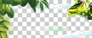 Olive Graphic Design Tree Poster PNG