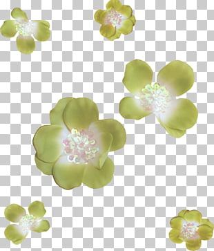 Petal Flower PNG, Clipart, Data Encryption Standard, Download, Fall ...