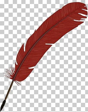 Feather png images