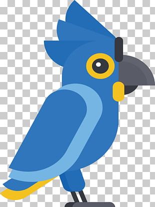 Bird Parrot Cartoon Drawing PNG, Clipart, Animal, Animals, Animation