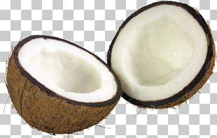 Coconut PNG, Clipart, Coconut Free PNG Download