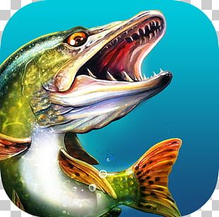 Let's Fish: Sport Fishing Games. Fishing Simulator Ultimate Fishing  Simulator Bass Fishing 3D Free Recreational Fishing