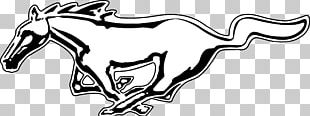 Ford Mustang Car Ford GT PNG