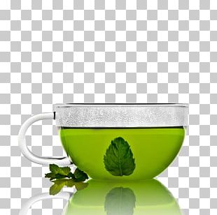 Green Tea Coffee Flowering Tea PNG