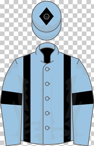 Thoroughbred Al Shaqab Toast Of New York Equestrian Horse Racing PNG
