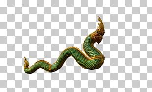 China Chinese Dragon Imugi Sentinel Dragon PNG