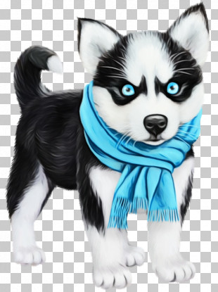 Miniature Siberian Husky Sakhalin Husky Canadian Eskimo Dog Alaskan Malamute PNG