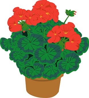 Lantana Flower Cliparts PNG Images, Lantana Flower Cliparts Clipart ...