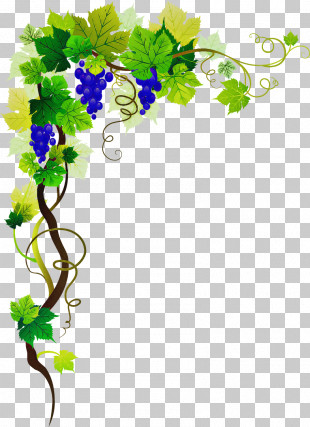 Flower Vine PNG, Clipart, Blossom, Branch, Cherry Blossom, China Rose ...