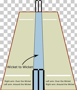Shaheed Veer Narayan Singh International Cricket Stadium Cricket Pitch Cricket Field Athletics Field PNG
